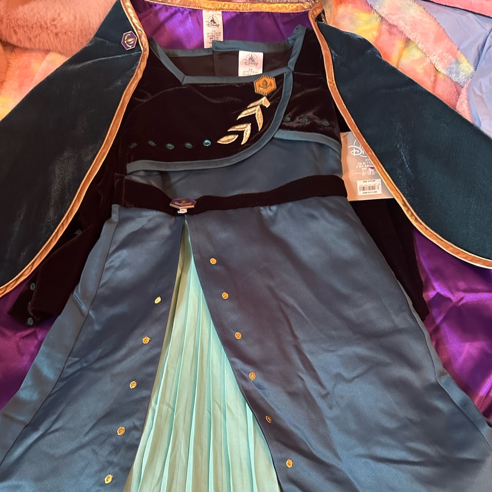 Disney Frozen Princess Anna Costume/ Dress Up